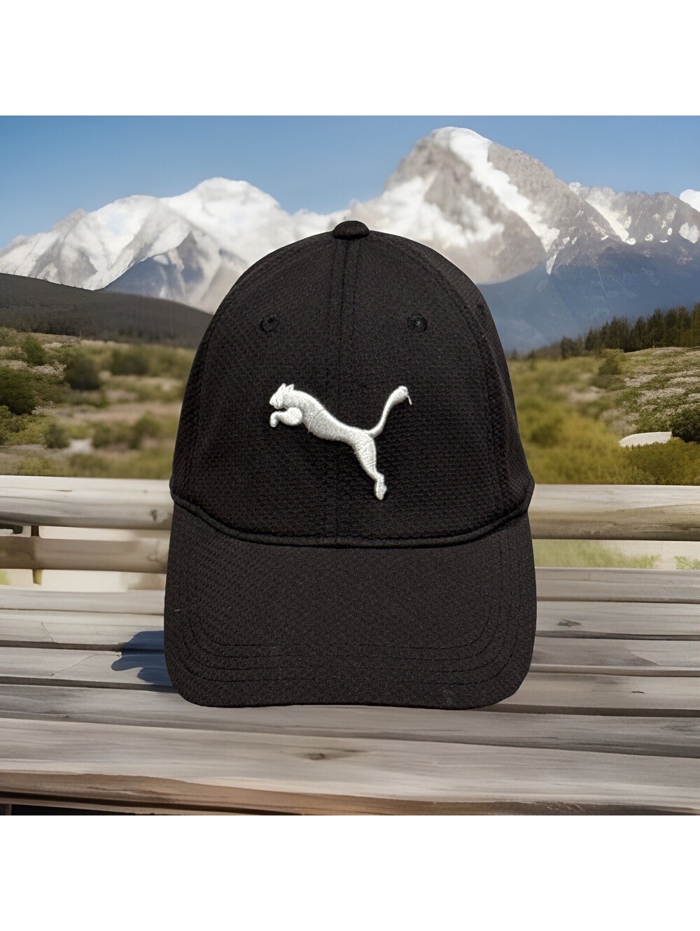 Puma Wild Cat Lion Feline Sport Golfing Black Baseball Cap